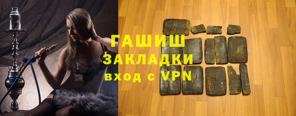 хмурый Алексин