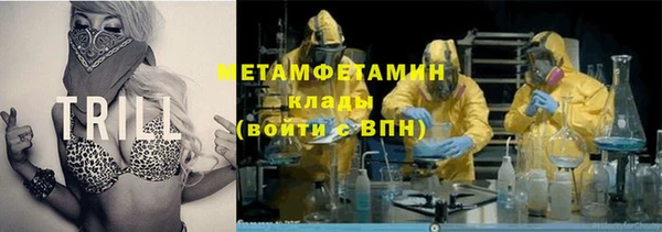 хмурый Алексин